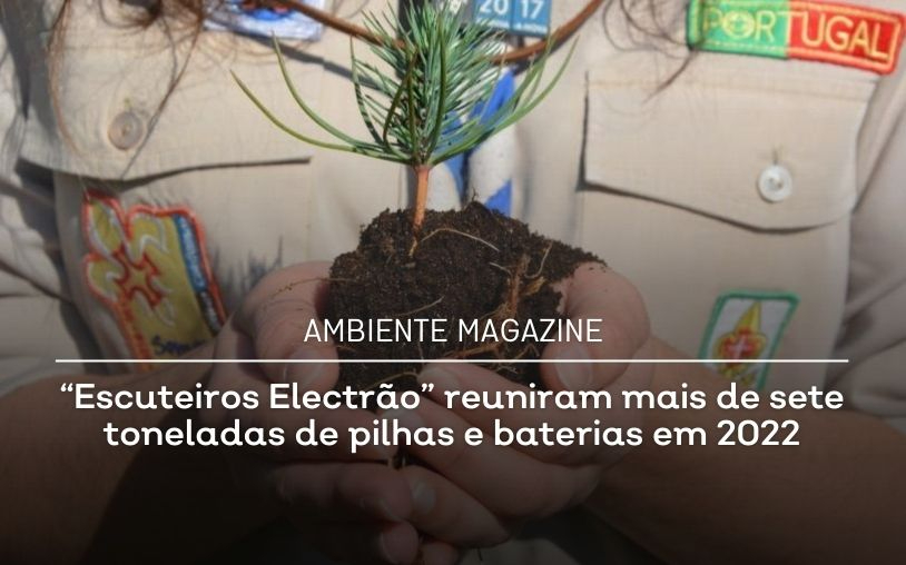 “Escuteiros Electrão” gathered more than seven tons of batteries in 2022